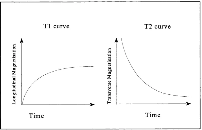 Figure 2.4: Tl and T2 relaxation time curves.