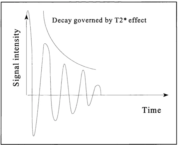 Figure 2.5; Free induction decay signal.