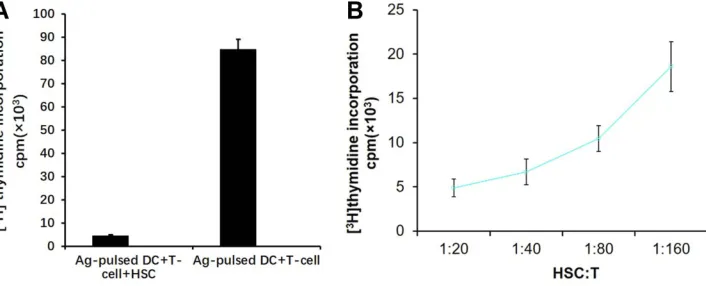 Figure 1 DCs effectively took up tumor antigens. DCs that did not take up tumor antigens did not promote T cell proliferation