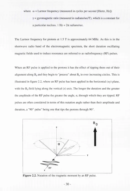Figure 2.2. Nutation of the magnetic moment by an RF pulse.
