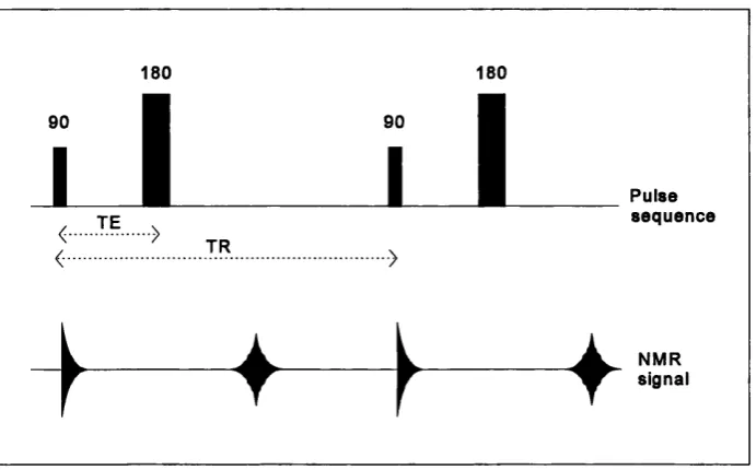 Figure 2.5. Generation of a spin echo.