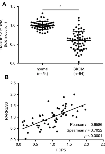 Figure 3 RARRES3 mRNA expression correlated with that of HCP5 in SKCM. (A)RARRES3 mRNA levels in 54 pairs of SKCM tissue specimens and normal skin tissuespecimens were compared by qRT-PCR