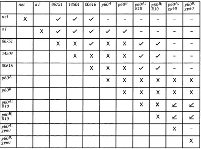 Table 4.1. Results of complementation analysis of Drosophilacrosses used to demonstrate that a Larvae from the cross highlighted in bold were used to study the complementation (X) with no progeny without balancer chromosomes
