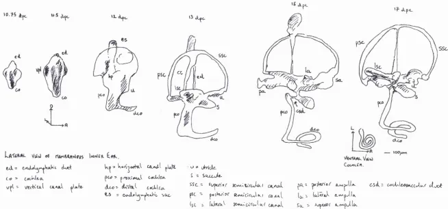 FIGURE. 1.4