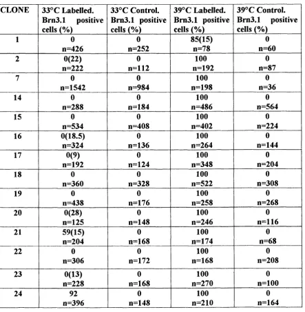 FIGURE.3.2Table of clones labelled with Brn3.1. Figures in brackets () represent percentage of 