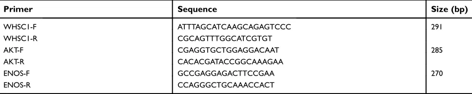 Table S1 The sequences of siRNA oligos against WHSC1