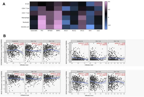 Figure S1 The correlations between gene expression and immune inﬁltration level were examined by tumor immune estimation resource (TIMER) analysis