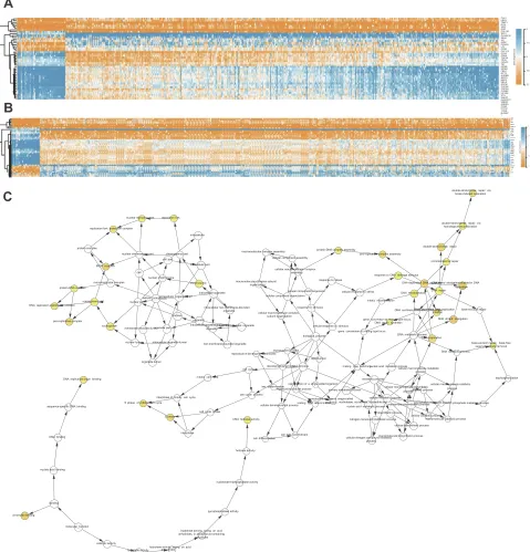 Figure 6 (A, B) The heatmap of module genes between NSCLC (LUAD and LUSC) and normal samples