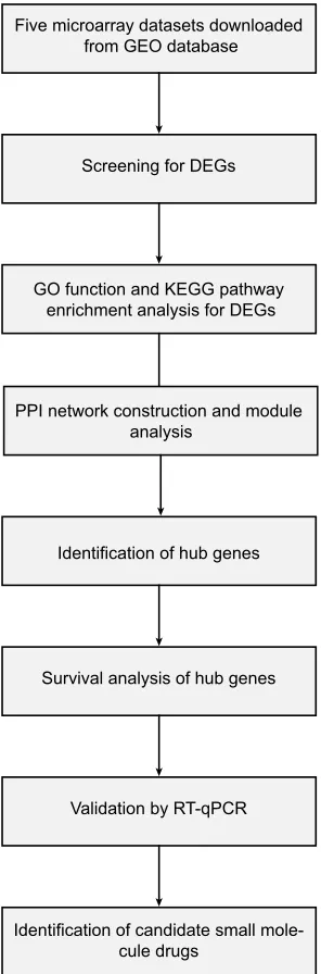 Figure 1 The workﬂow of this study.