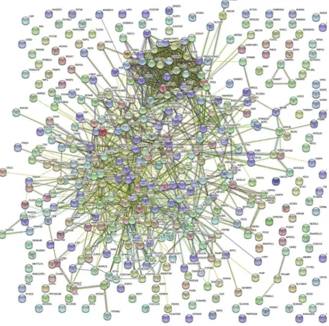 Figure 4 The protein–protein interaction networks of overlapping DEGs.