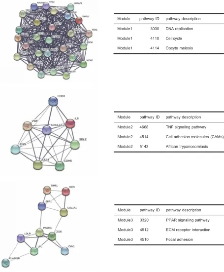 Figure 5 The three most signiﬁcant modules extracted from PPI network and KEGG pathway analysis of module genes.