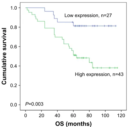 Table 2 association of acTl8 expression with tumor-associated proteins in crc