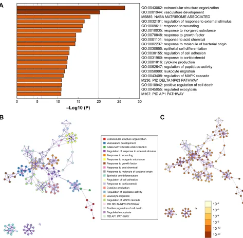 Figure 2 Biological processes enriched in gO terms and enrichment distribution of Degs in pathways.Notes: (A) Top 20 functional path enrichment analysis heatmap