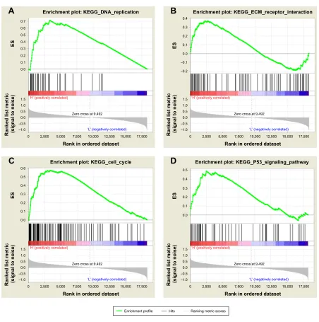 Figure 4 TPBg correlated enrichment gene analysis with gsea.Notes: (A) Dna_rePlicaTiOn (P=0.000; FDr =0.000; es =0.716)