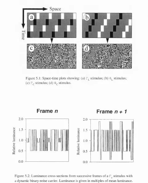 Figure 5.2: Luminance cross-sections from successive frames of a stimulus with a dynamic binary noise carrier