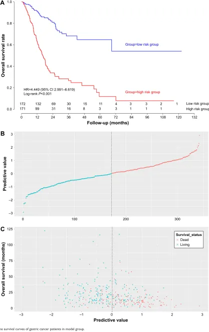 Figure 3 The survival curves of gastric cancer patients in model group.Note: The survival curves in high risk group and low risk group (A), the distribution of eleven-lncrna signature scores (B), survival status and survival time (C) in the model group.Abbreviation: lncrna, long non-coding rna.
