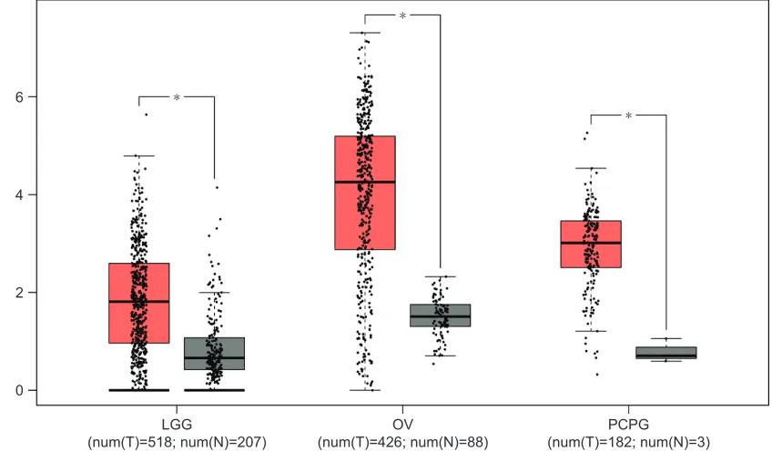 Figure 7 (Continued)