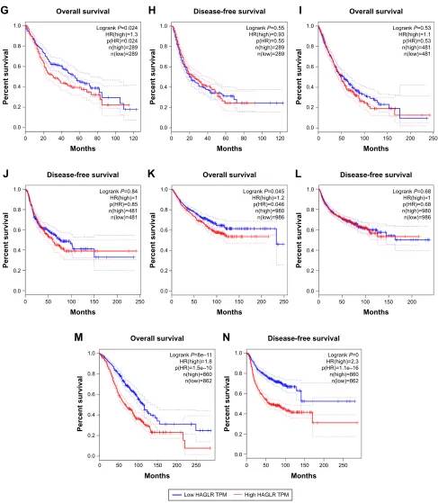 Figure 7 Validation of HOXD-AS1 in TCGA cohort. Notes: (A) Overall survival plots of HOXD-AS1 in TCGA cohort (n=9,502, logrank P,0.01)