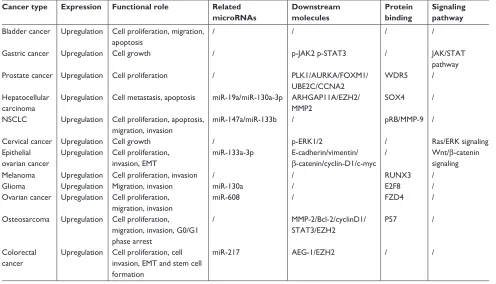 Table 4 Summary of HOXD-AS1 with their potential targets, pathways, and related microRNAs