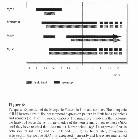 Figure 6: