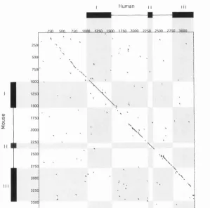 Fig 1 2C: Human vs Mouse