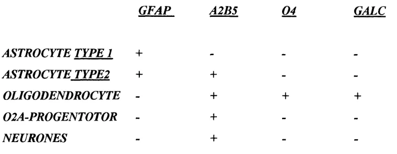 Table 1: Summary of some glial cell identification antibodies.
