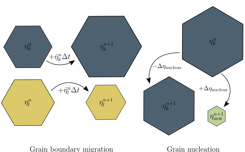 Figure 1.3: Illustration of a set of generalized interpretations concerning grainboundary migration and grain nucleation in the framework of grain-homogenizedmethods such as the one presented in Wenk and Tomé [183].
