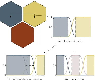 Figure 1.4: Illustration of the phase-ﬁeld method, including a depiction of the diﬀuseinterface between grains as well as grain boundary migration and nucleation.