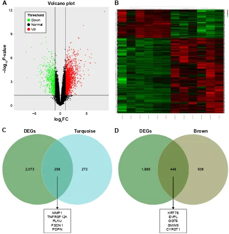 Figure 6 Validation of hub genes in gse31056.Notes: (A) Volcano plot visualizing Degs in gse31056 (23 normal samples and 21 Oscc)