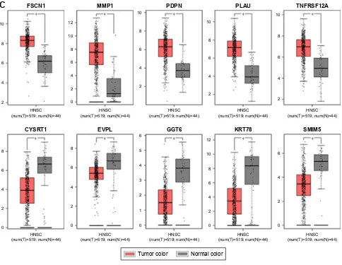 Figure 7 Validation of hub genes in the transcriptional level.Notes: (A) Validation of hub genes in GSE30784