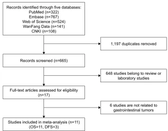 Figure 1 Flow diagram of the study selection process.Abbreviations: Os, overall survival; DFs, disease-free survival.