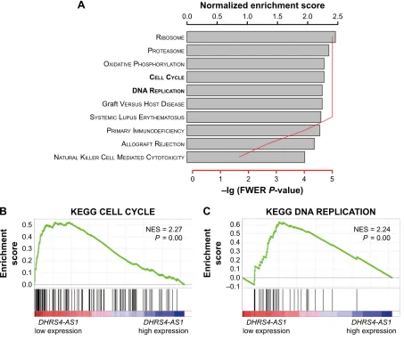 Figure 3 The target gene enrichment of the Kegg pathways of the DHRS4-AS1 signature.Notes: (A) The top 10 Kegg pathways with the highest normalized enrichment scores
