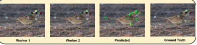 Figure 3.2: Example part annotation sequence showing the common situation wherethe responses from 2 workers correlate well and are enough for the system to markthe images as ﬁnished.Worker 1Worker 2PredictedGround Truth
