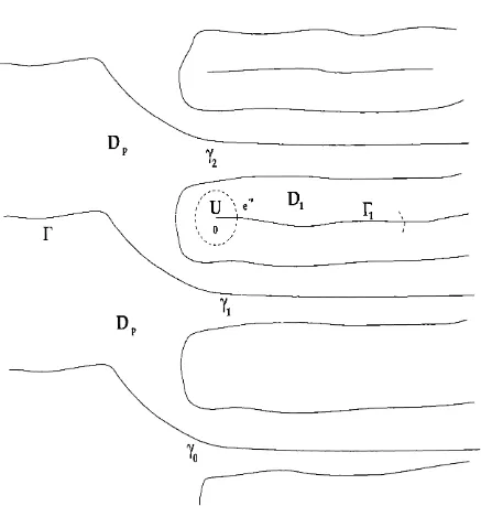 Fig. 2.2: The branches of map Fi to an infinity of paths 7 n in Dp