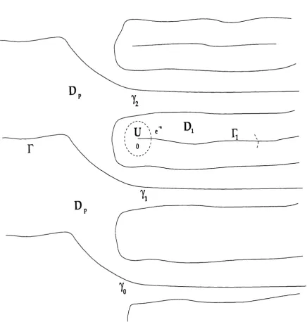 Fig. 2.2: The branches of map Fi to an infinity of paths 7 n in Dp