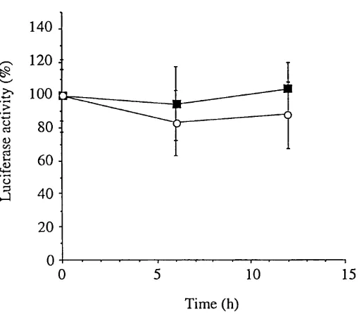 Fig 4.8. Time course of annexin I promoter activity in response to IpM dexamethasone. Each point represents the mean of four independent transfections (± s.e.m.)