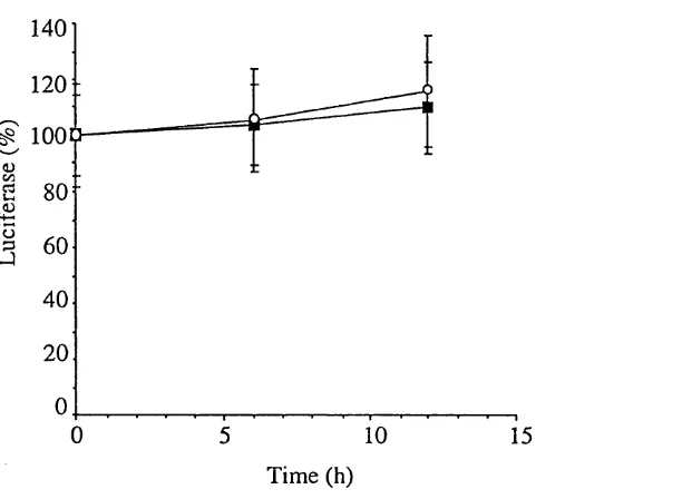 Fig 4.9. Time course of annexin VI promoter activity in response independent transfections (± s.e.m.)