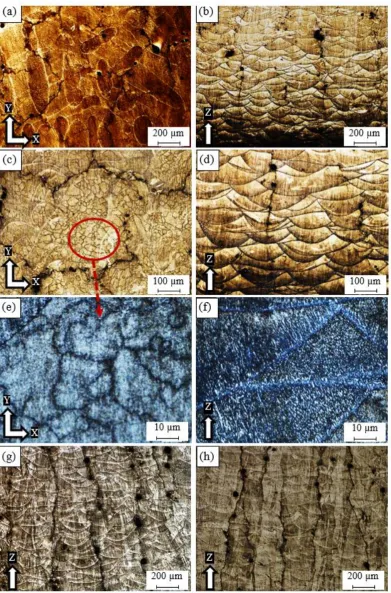 Figure 6. Microstructure of the as-built Al6061 samples processed under different SLM process parameters; a,c,e) 6A along the Z-direction, b,d,f) 6A along the XY plane, g) 14A, and h) 15A