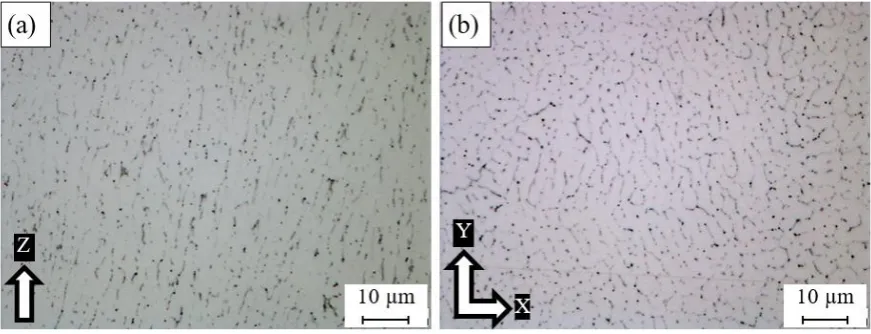 Figure 7. Microstructure grains of the as-built Al6061 sample at a higher magnification