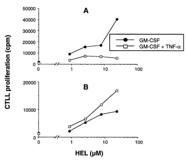 Figure 4.4Effects of TNF-a on processing of HEL 46-61 and HEL 74-86 from whole HEL. A: 