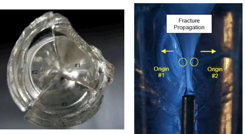 Figure 1.3: Example of a broken glass syringe. Failure originated on the innersurface of the cone area due to an excessive hoop stress