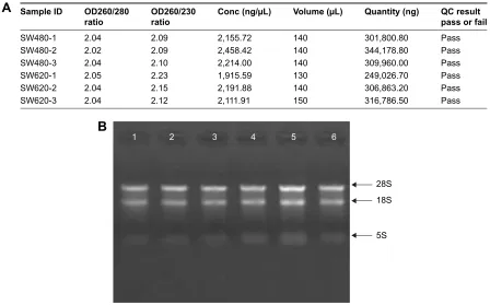 Figure 1 rna quality control in total six cell samples. (A) RNA quantification and quality assurance by NanoDrop ND-1000