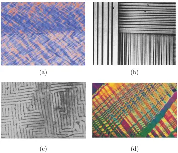 Figure 1.2: A series of natural patterns in mechanics that form from disordered initial states: (a)cross-hatched dislocation patterns in an Al bicrystal at the interface (Kuo et al., 2003), (b) twinninglaminate structures in Cu-Ni (Abeyaratne et al., 1996)