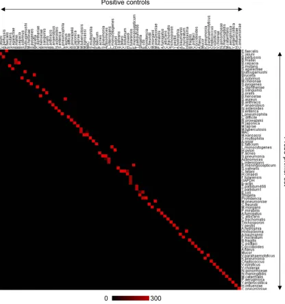 Figure 1. Validation of the multi-microbial real-time PCR assay. A gene expression image produced using TreeView software based on the results of the multi-microbial real-time PCR for control samples is shown