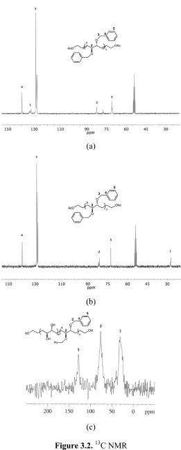 Figure 3.2. 13C NMR 