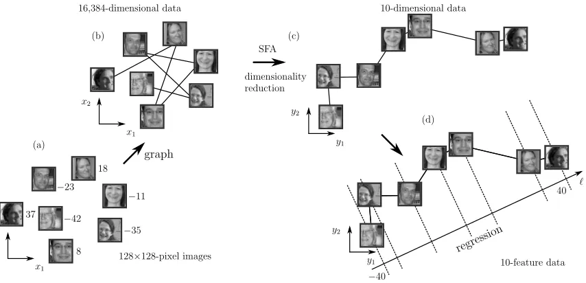 Figure 1: Illustration of the use of GSFA to solve a regression problem. An input sample isan image represented as a 16384-dimensional vector, x, and yields a 2-dimensionalfeature vector y