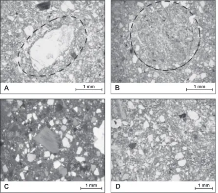 Fig. 2. Examples of photomicrographs used in the experiment. Turbate micro-structures in images A and B are indicated (trials with signal andnoise – annotations not in original images)