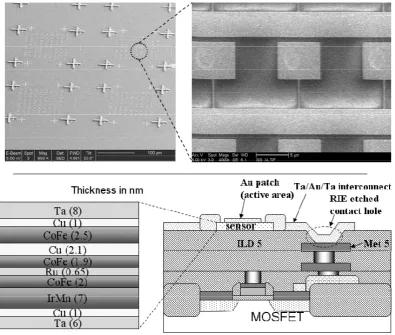 Figure 2.8: SEM photo and the cross-sectional view of the GMR sensor 