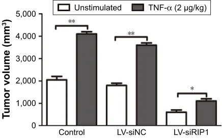 Figure S1 TnF-α could promote the expression of VEGF-C mRNA in GBC cells, just as in human lung fibroblasts.Notes: The GBC-SD, NOZ, and human lung fibroblast cells were stimulated with 50 ng/mL of recombinant human TNF-α for 24 h; qPcr indicated that TnF-α