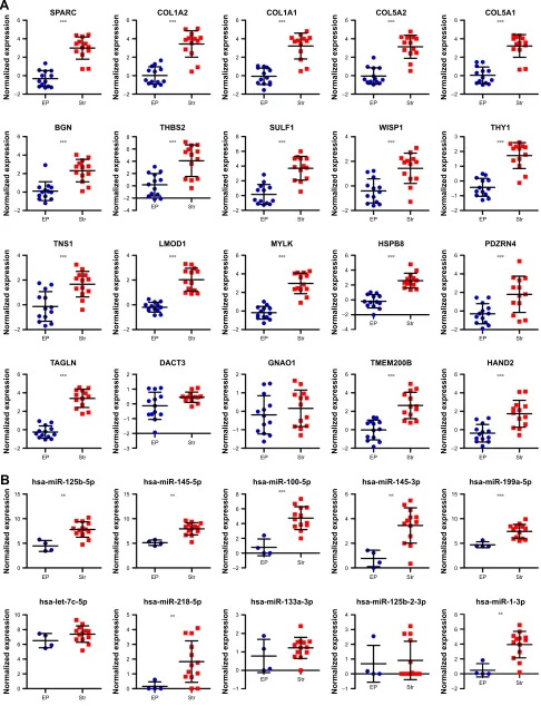 Figure 6 The expression levels of hub genes (A) and hub mirnas (B) in ep and str areas from crc tissues (gse35602).Note: **P,0.01 and ***P,0.001.Abbreviations: mirna, microrna; ep, epithelial; str, stromal; crc, colorectal cancer.